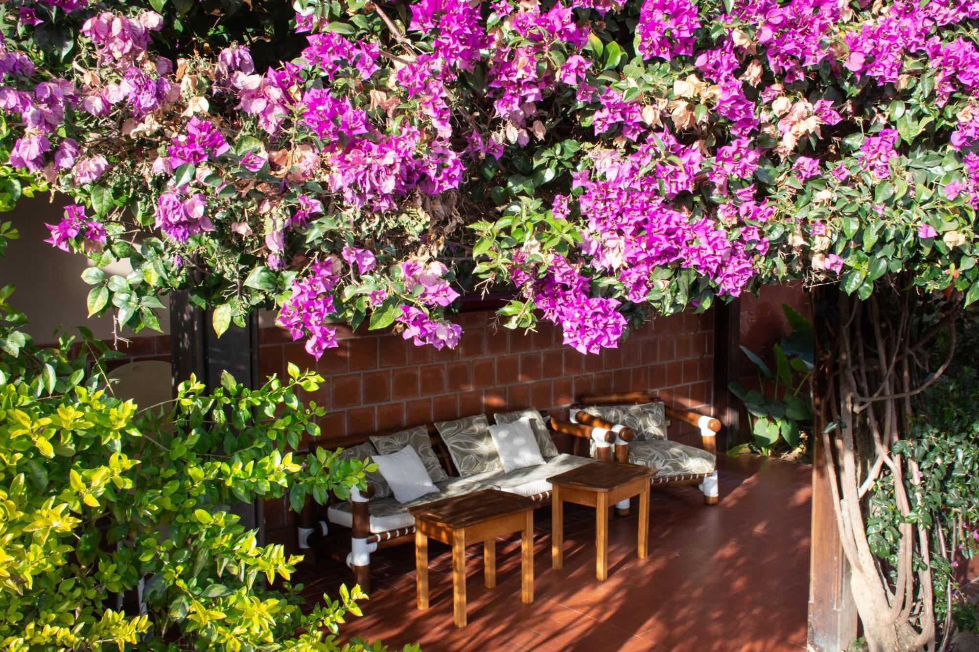 Hotel Boutique La Candela Сальта Екстер'єр фото