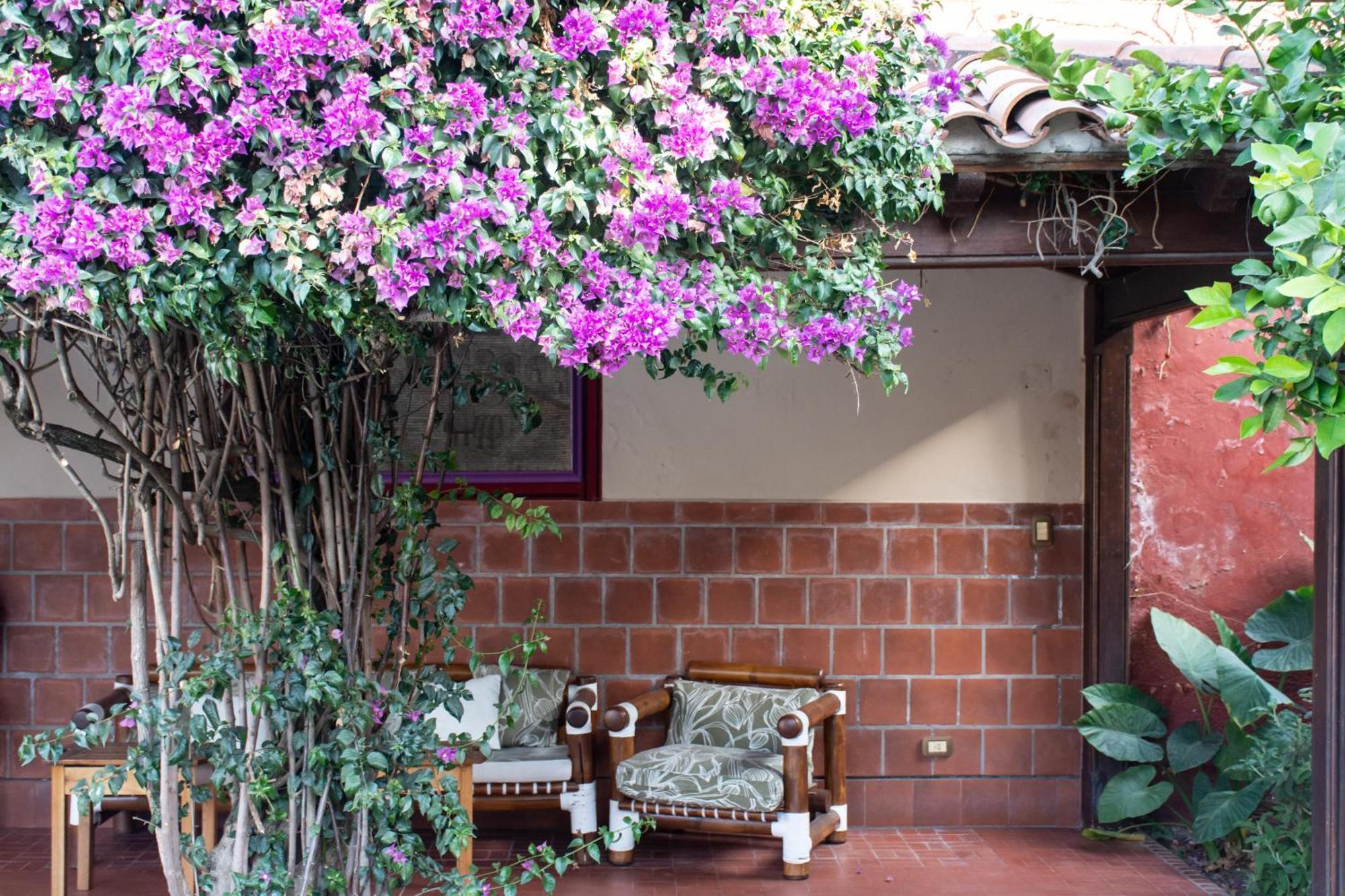 Hotel Boutique La Candela Сальта Екстер'єр фото